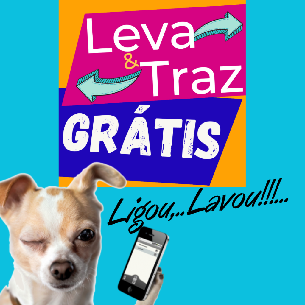 lavanderia de tapete